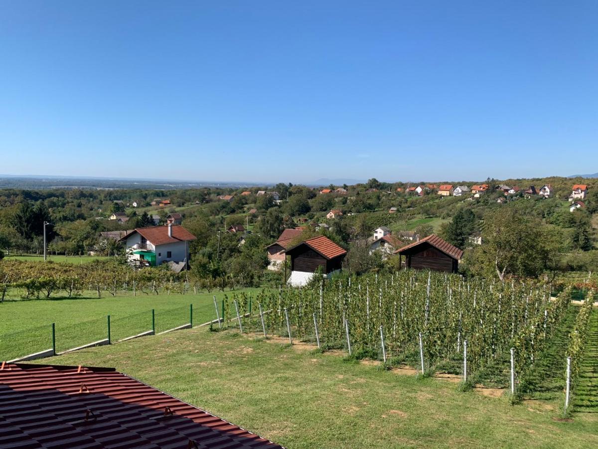 Appartamento Apartman Grc Dugo Selo Esterno foto